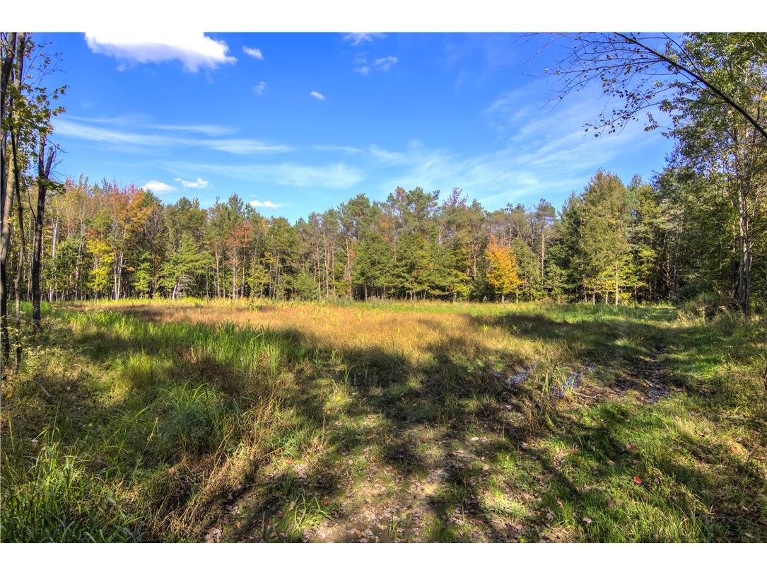 W6674 Poertner Road Neillsville WI 54456 1596061 image44