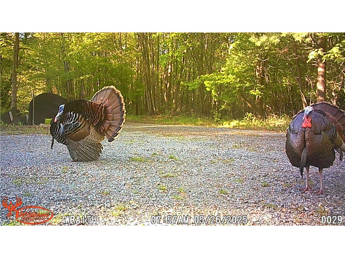 W6674 Poertner Road Neillsville WI 54456 1596061 image47