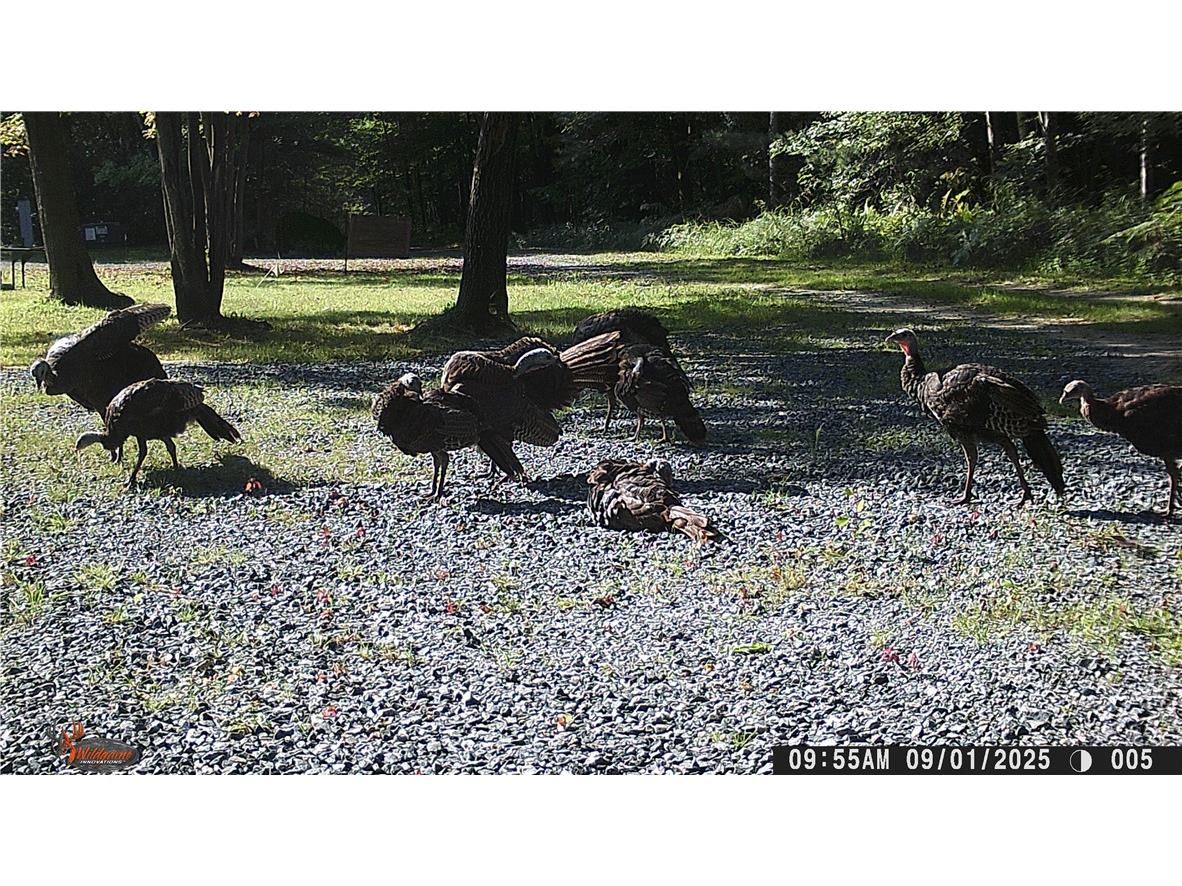 W6674 Poertner Road Neillsville WI 54456 1596061 image48