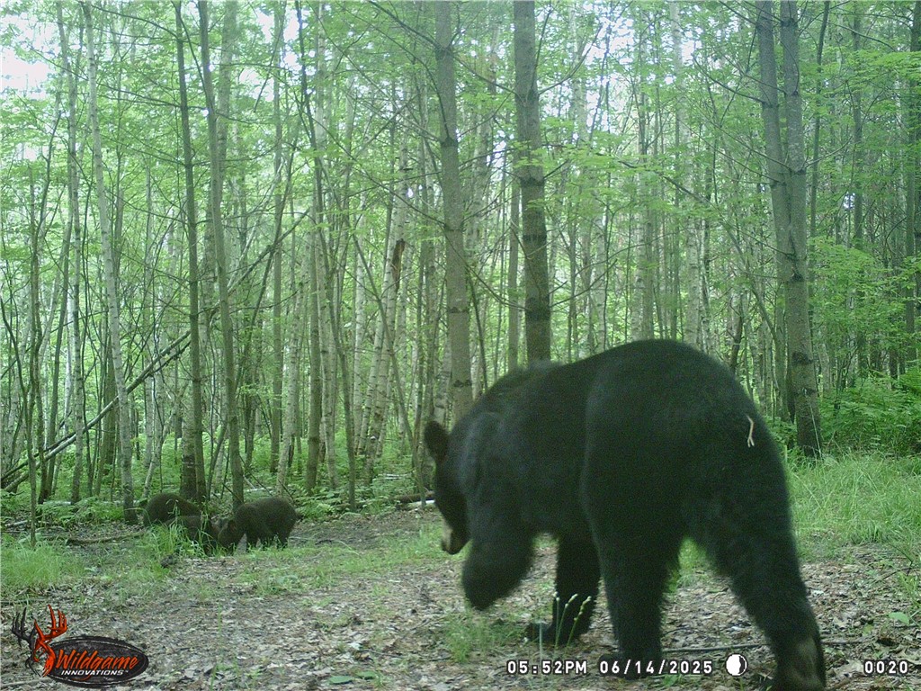 W6674 Poertner Road Neillsville WI 54456 1596061 image49