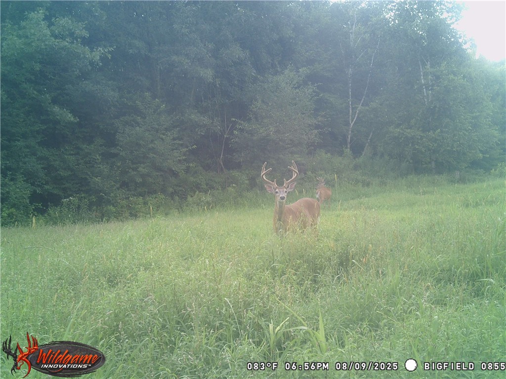 W6674 Poertner Road Neillsville WI 54456 1596061 image50