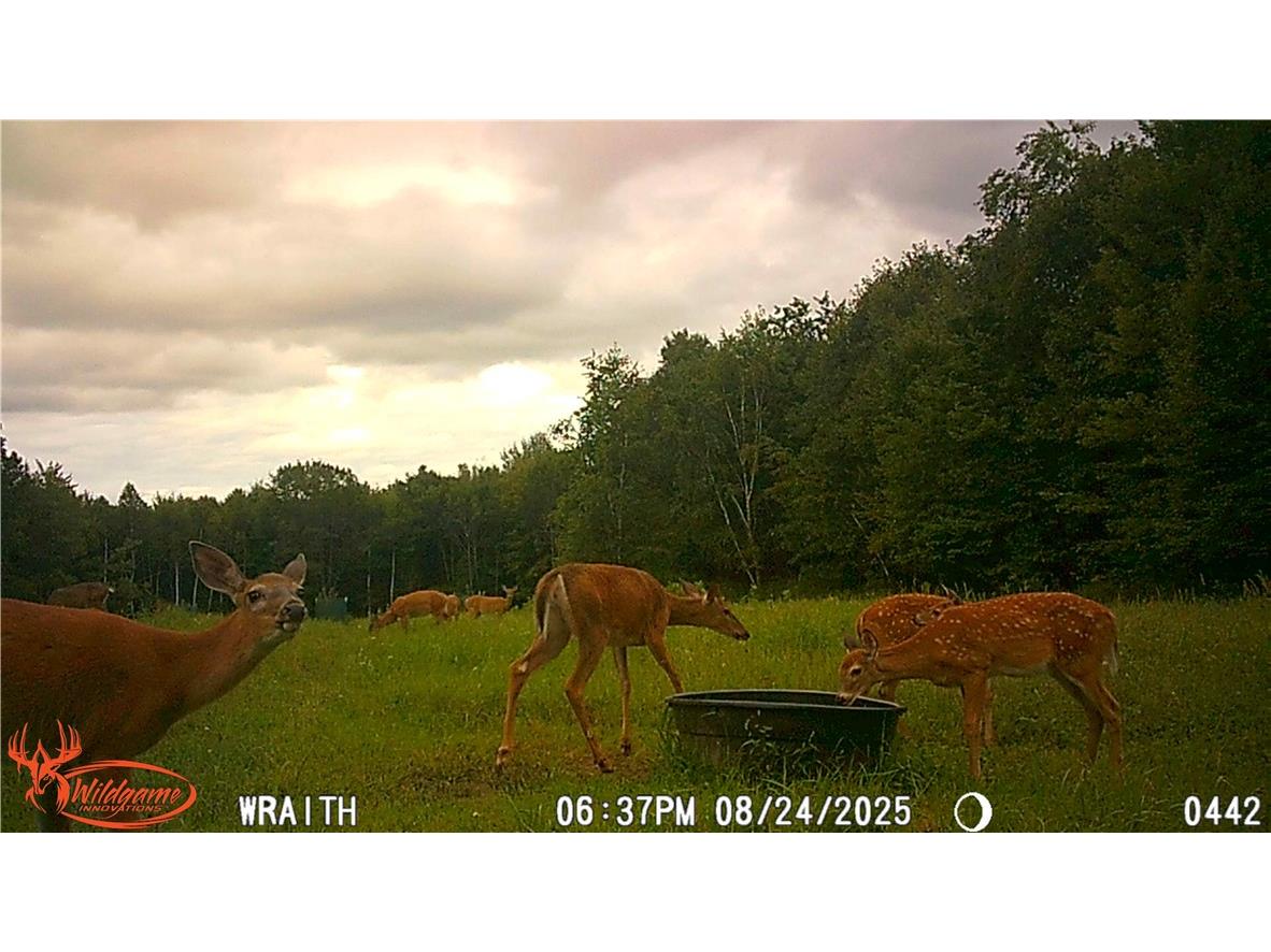 W6674 Poertner Road Neillsville WI 54456 1596061 image51