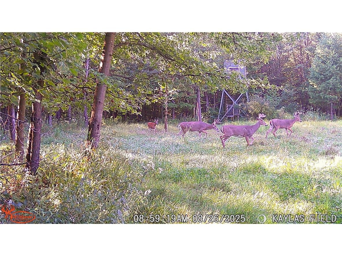 W6674 Poertner Road Neillsville WI 54456 1596061 image52