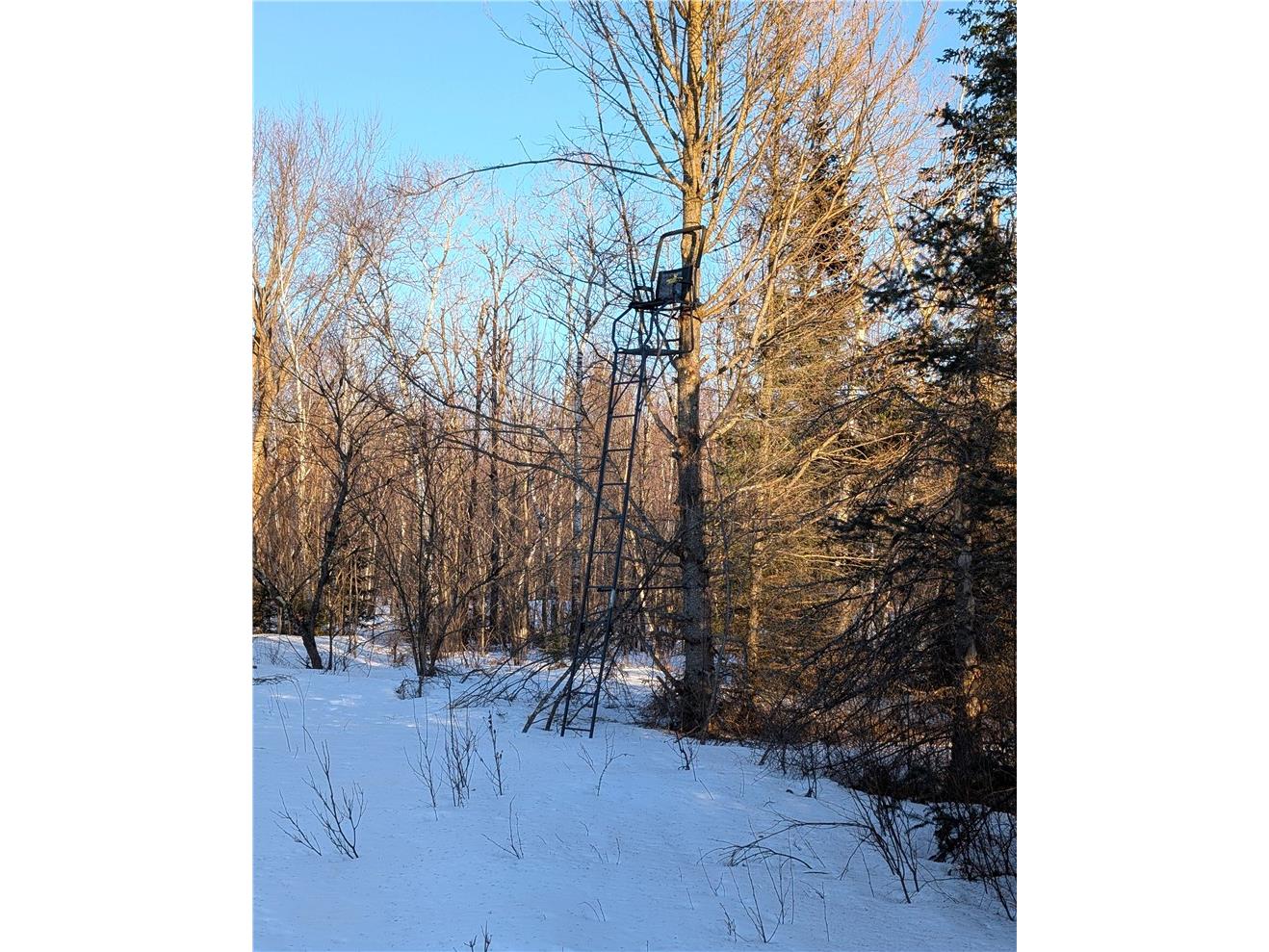 W6914 Sunset Lane Phillips WI 54555 1598865 image21