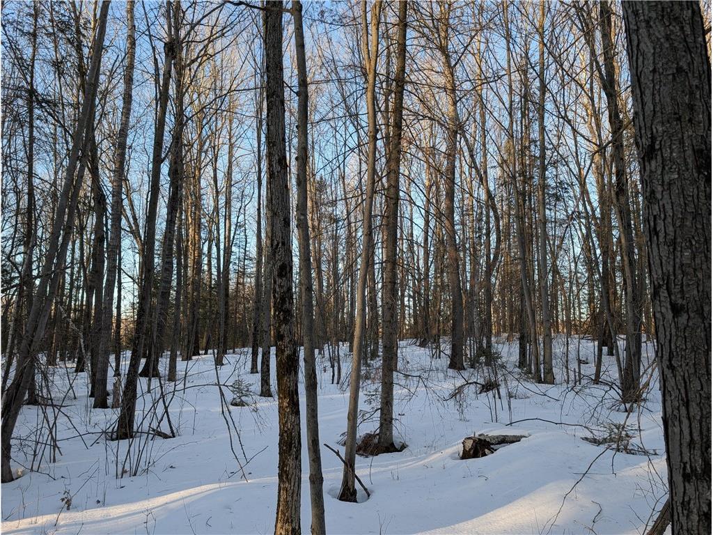 W6914 Sunset Lane Phillips WI 54555 1598865 image23