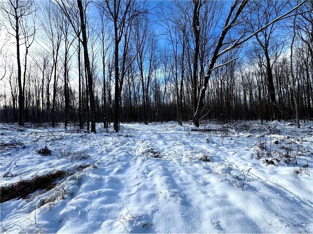 000 Hallberg Road Ogema WI 54459 1588888 image1