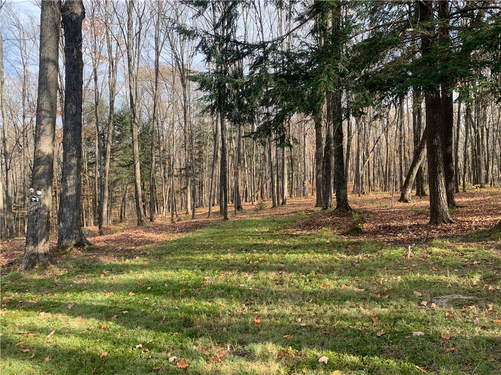 W7141 Divine Rapids Road Park Falls WI 54552 1596574 image58