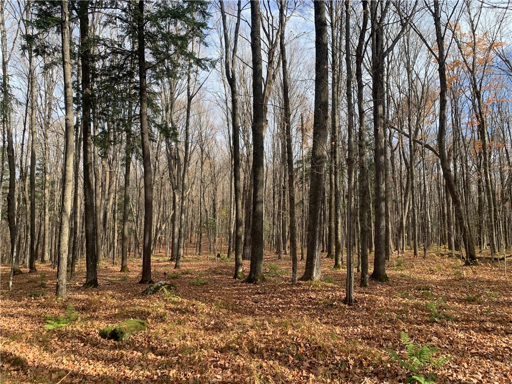 W7141 Divine Rapids Road Park Falls WI 54552 1596574 image60