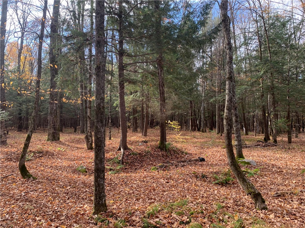 W7141 Divine Rapids Road Park Falls WI 54552 1596574 image8