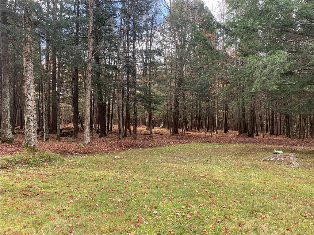 W7141 Divine Rapids Road Park Falls WI 54552 1596574 image9