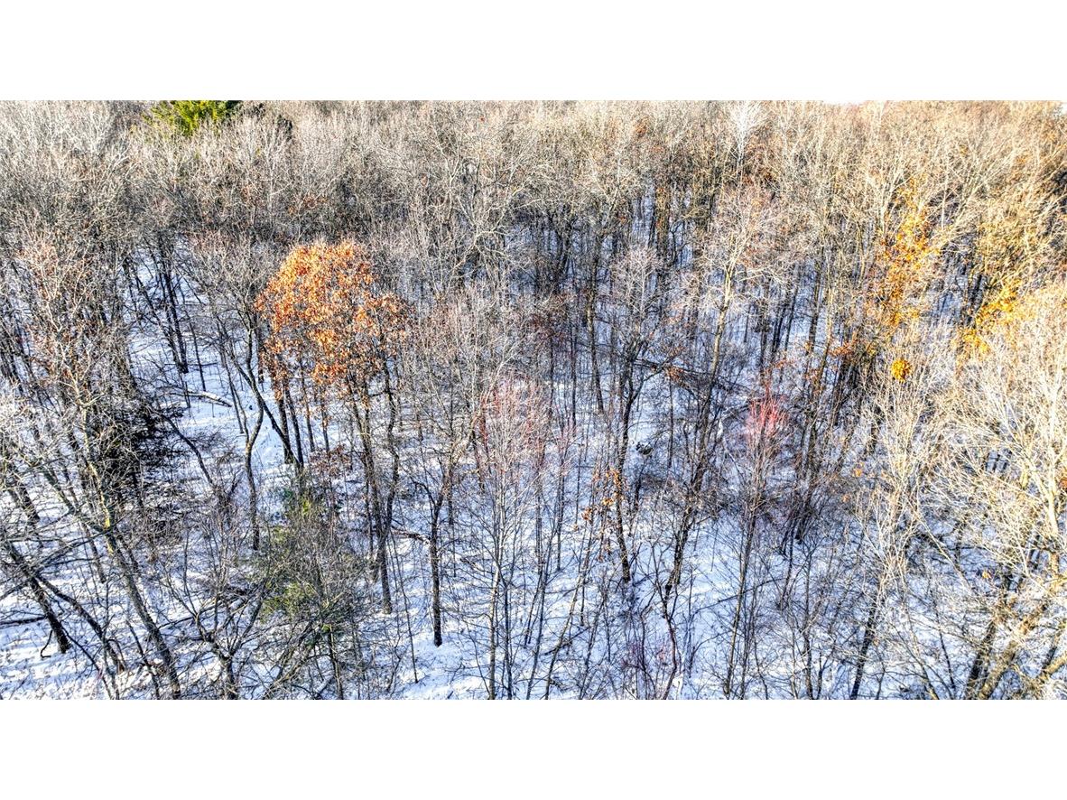 W7194 Nelson Road Mondovi WI 54755 - COON CREEK 1597577 image19
