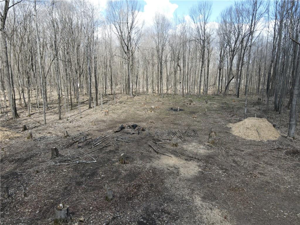 W7279 Flambeau Point Road, Ladysmith, WI, 54848 MLS 1580787 Edina