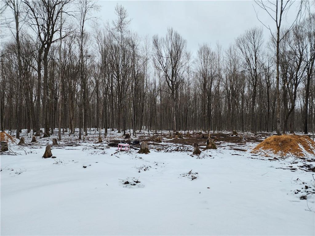 W7279 Flambeau Point Road, Ladysmith, WI, 54848 MLS 1580787 Edina