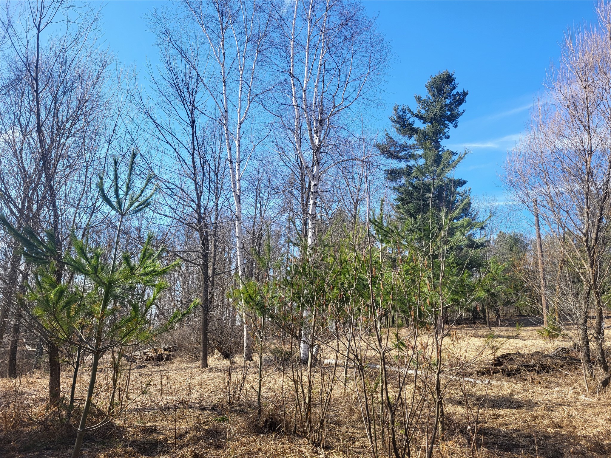 W7482 30th Avenue Barronett WI 54813 1599140 image1