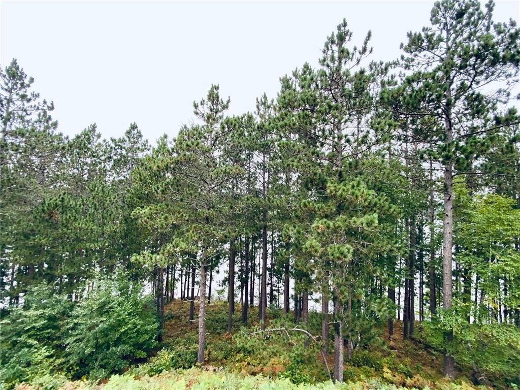 W7602 Wallin Drive Minong WI 54859 - Minong 1600895 image17