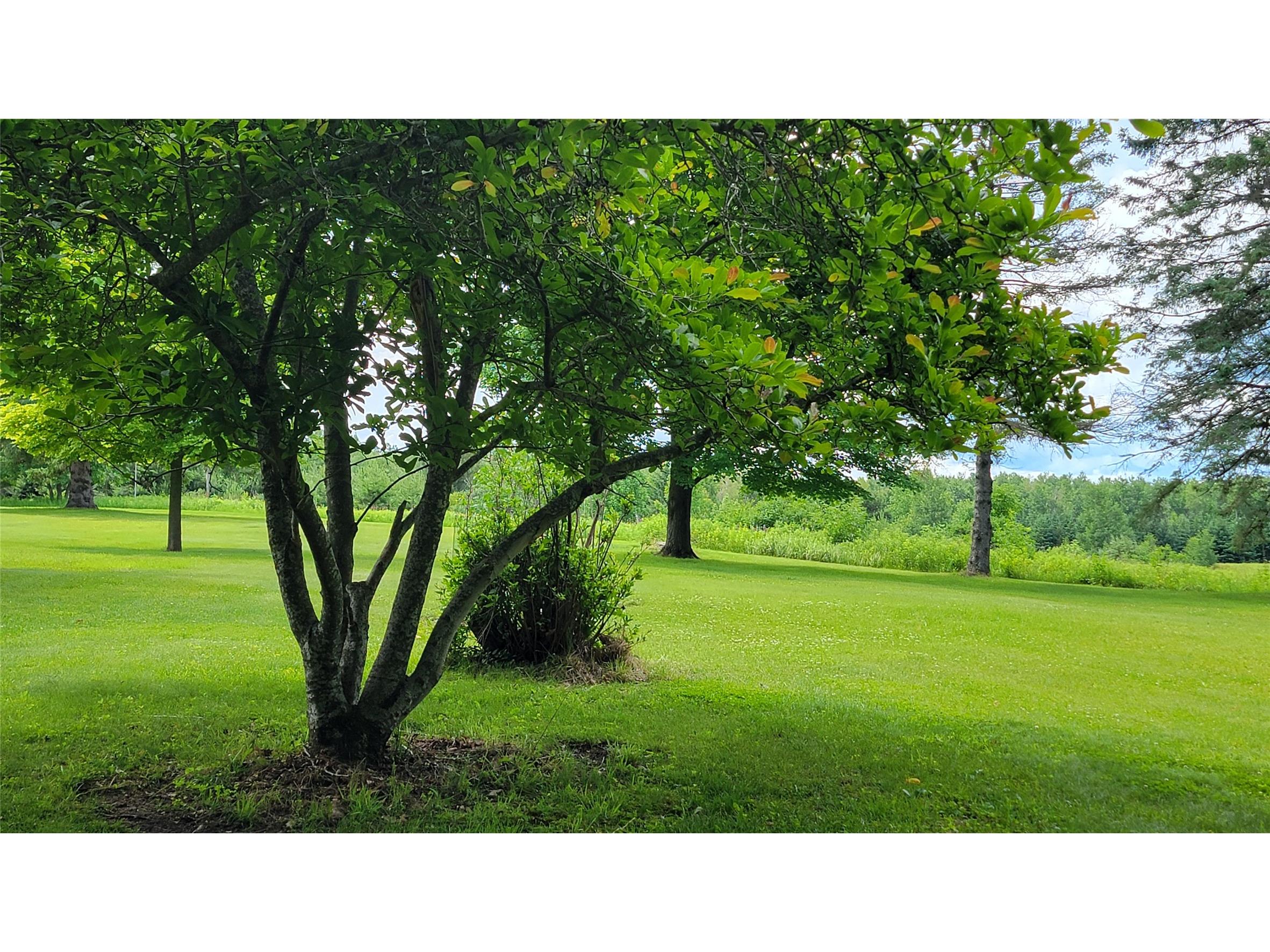 W7724 Bingham Road Ladysmith WI 54848 - Flambeau 1603517 image34