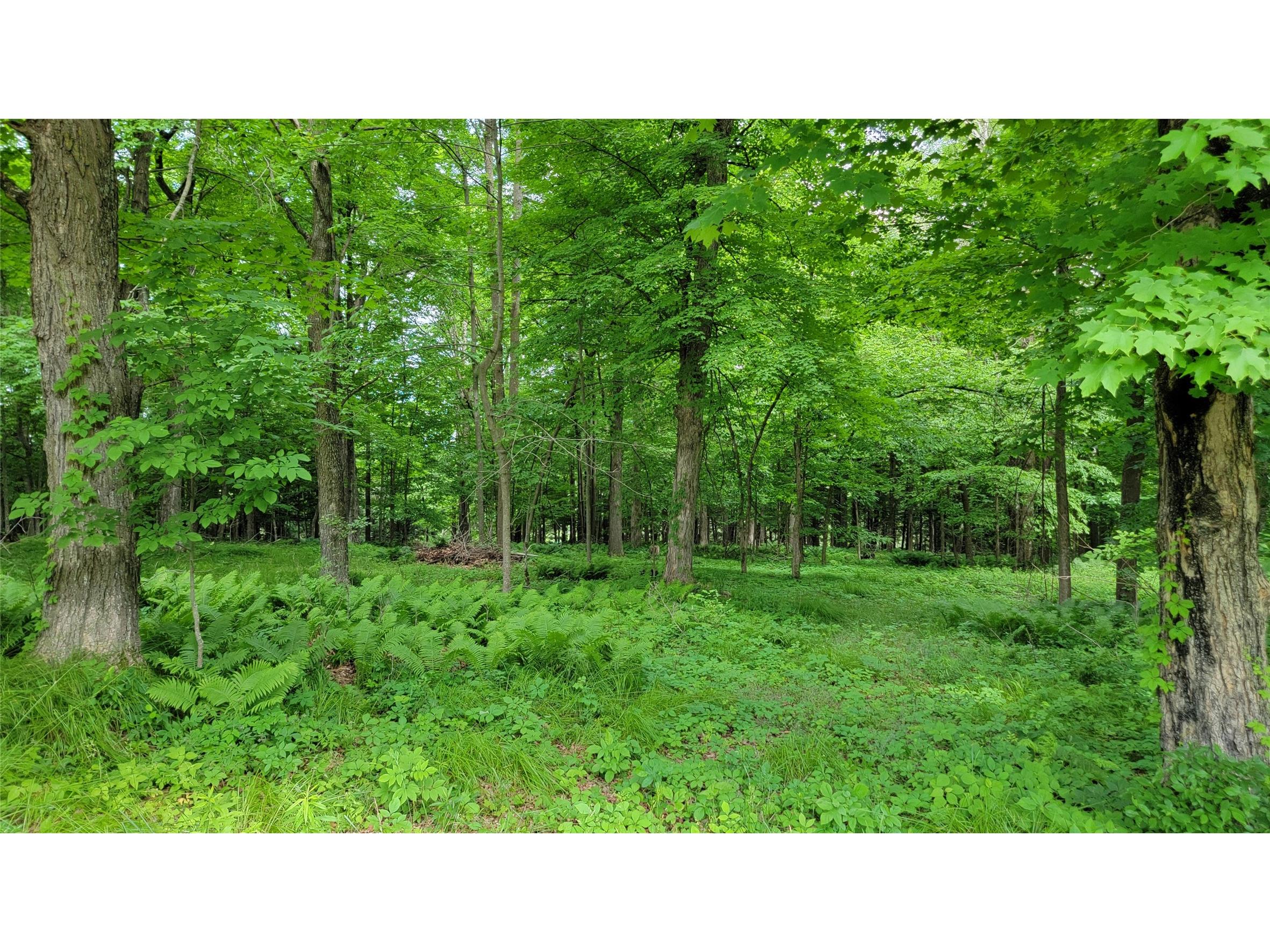 W7724 Bingham Road Ladysmith WI 54848 - Flambeau 1603517 image37