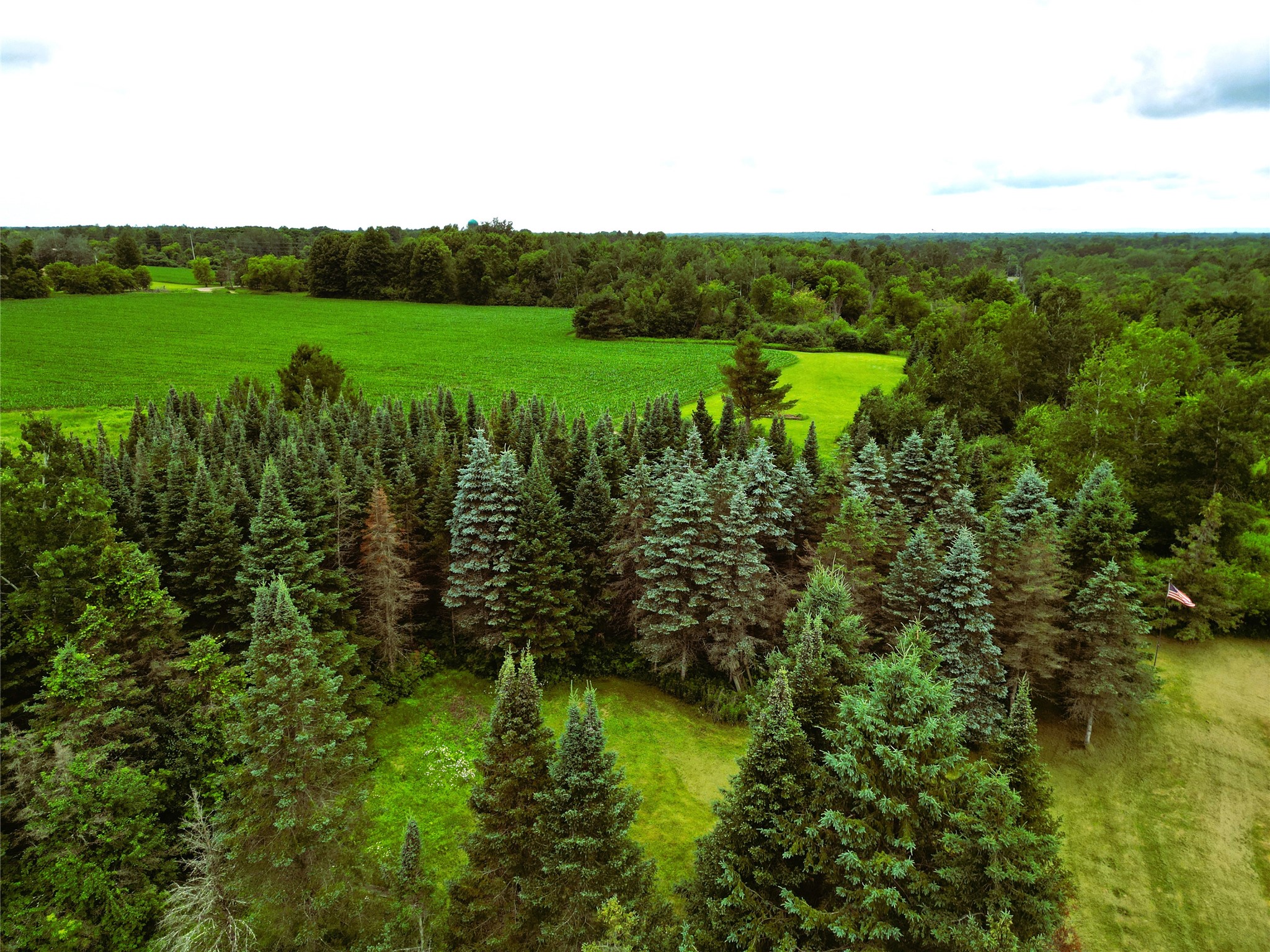 W7753 Old 14 Road Ladysmith WI 54848 1599107 image30