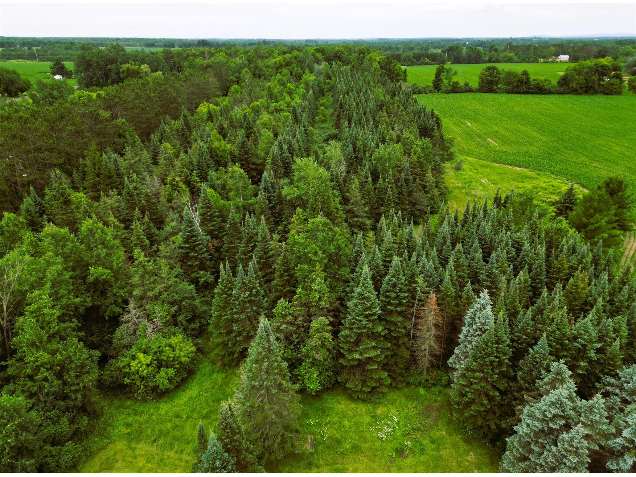 W7753 Old 14 Road Ladysmith WI 54848 1599107 image32