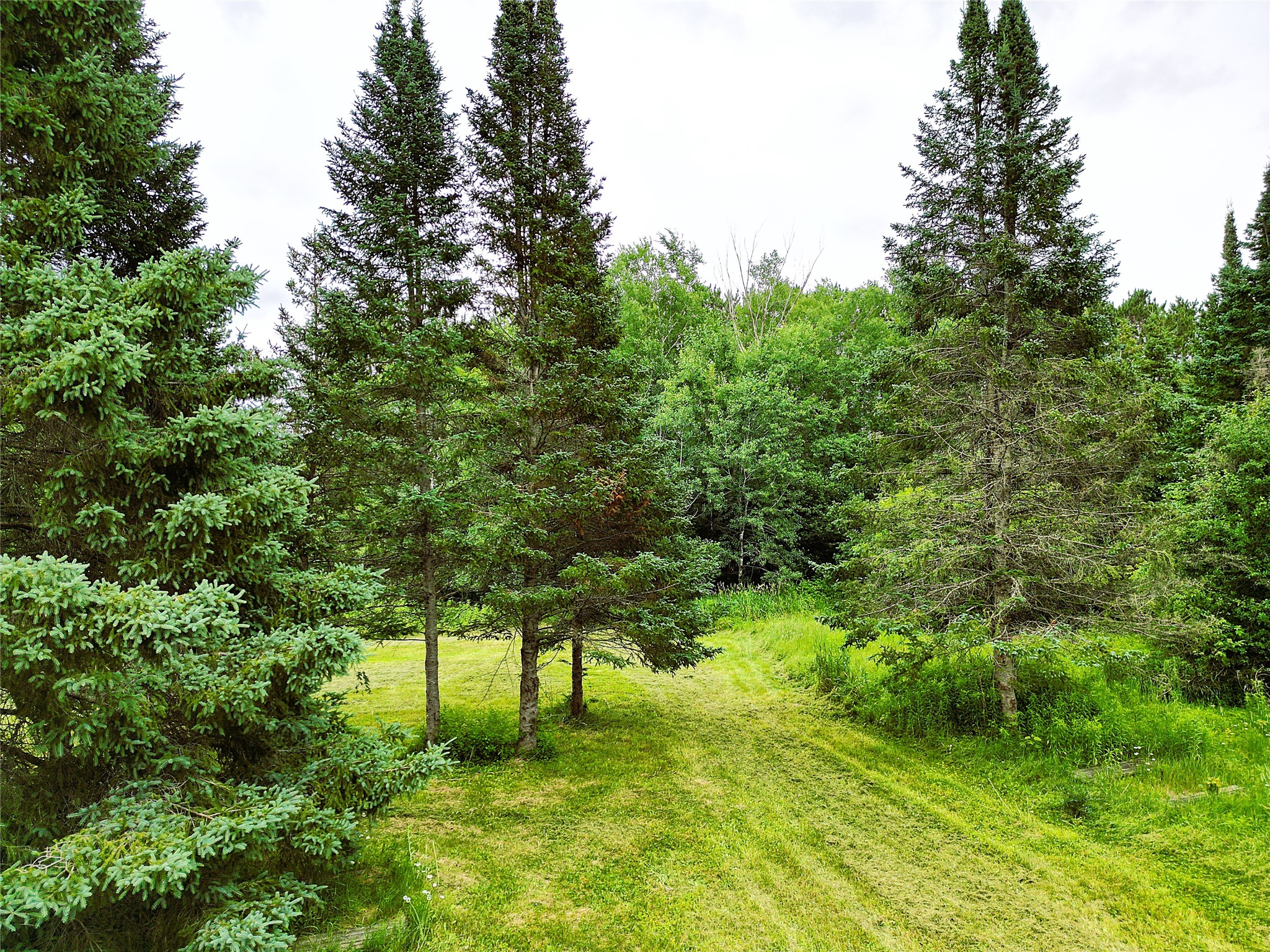 W7753 Old 14 Road Ladysmith WI 54848 1599107 image34