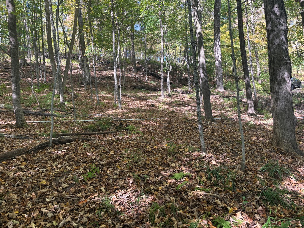 W783 County Highway D Birchwood WI 54817 - Balsam Lake 1598770 image6