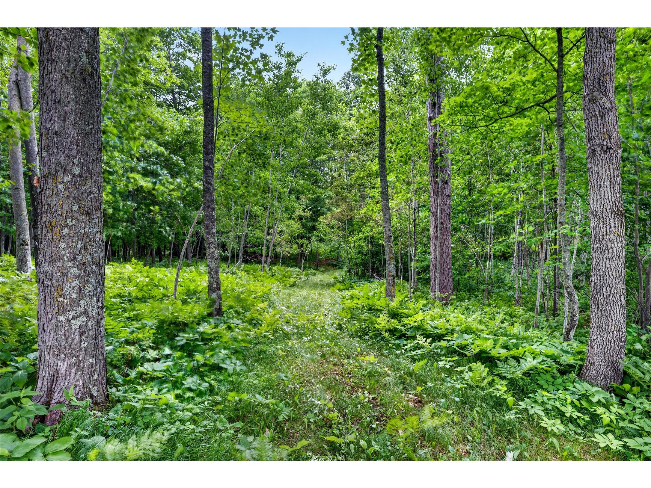 W7836 County Highway A Spooner WI 54801 1603160 image37
