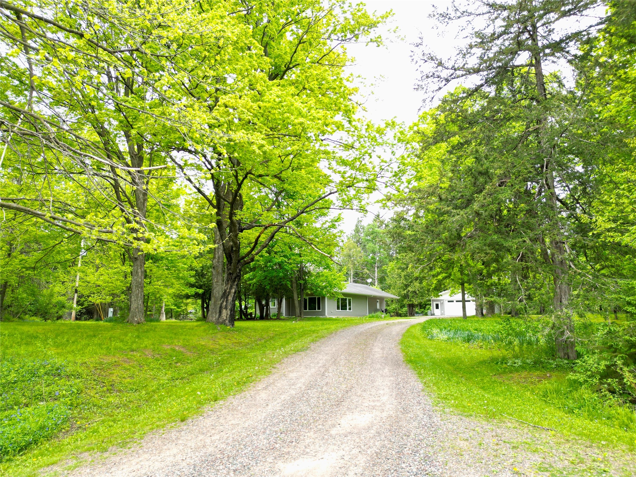 W7950 Us Highway 8 Ladysmith WI 54848 1600876 image6