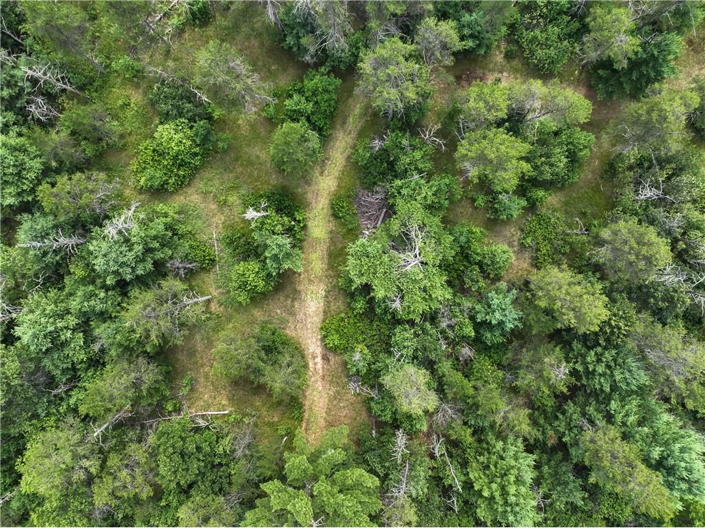 W8659 County Road O Black River Falls WI 54615 1593597 image45