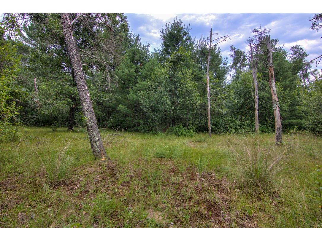 W8659 County Road O Black River Falls WI 54615 1593597 image47