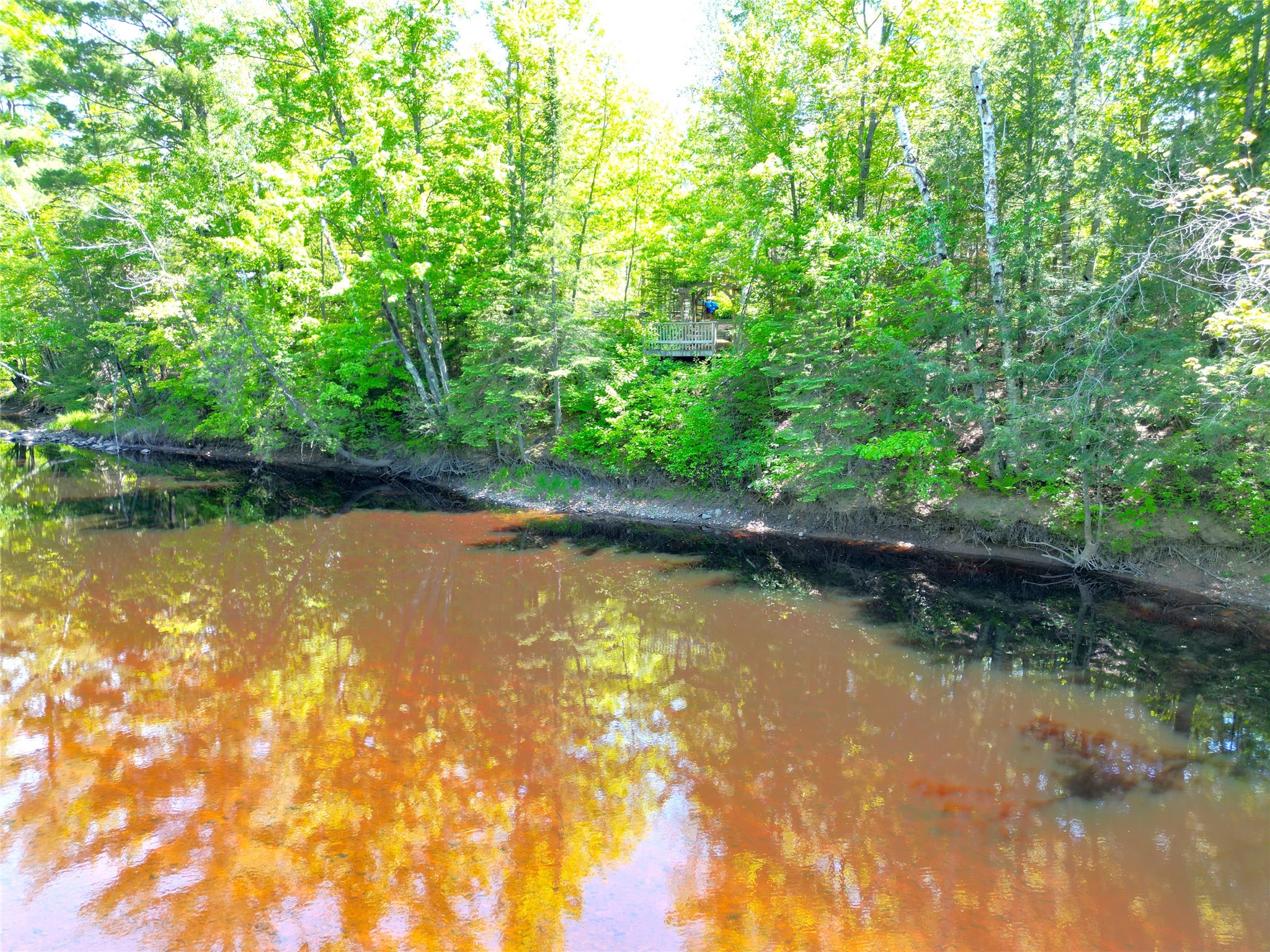 W8724 Timber Trail Ladysmith WI 54848 - THORNAPPLE 1601658 image2