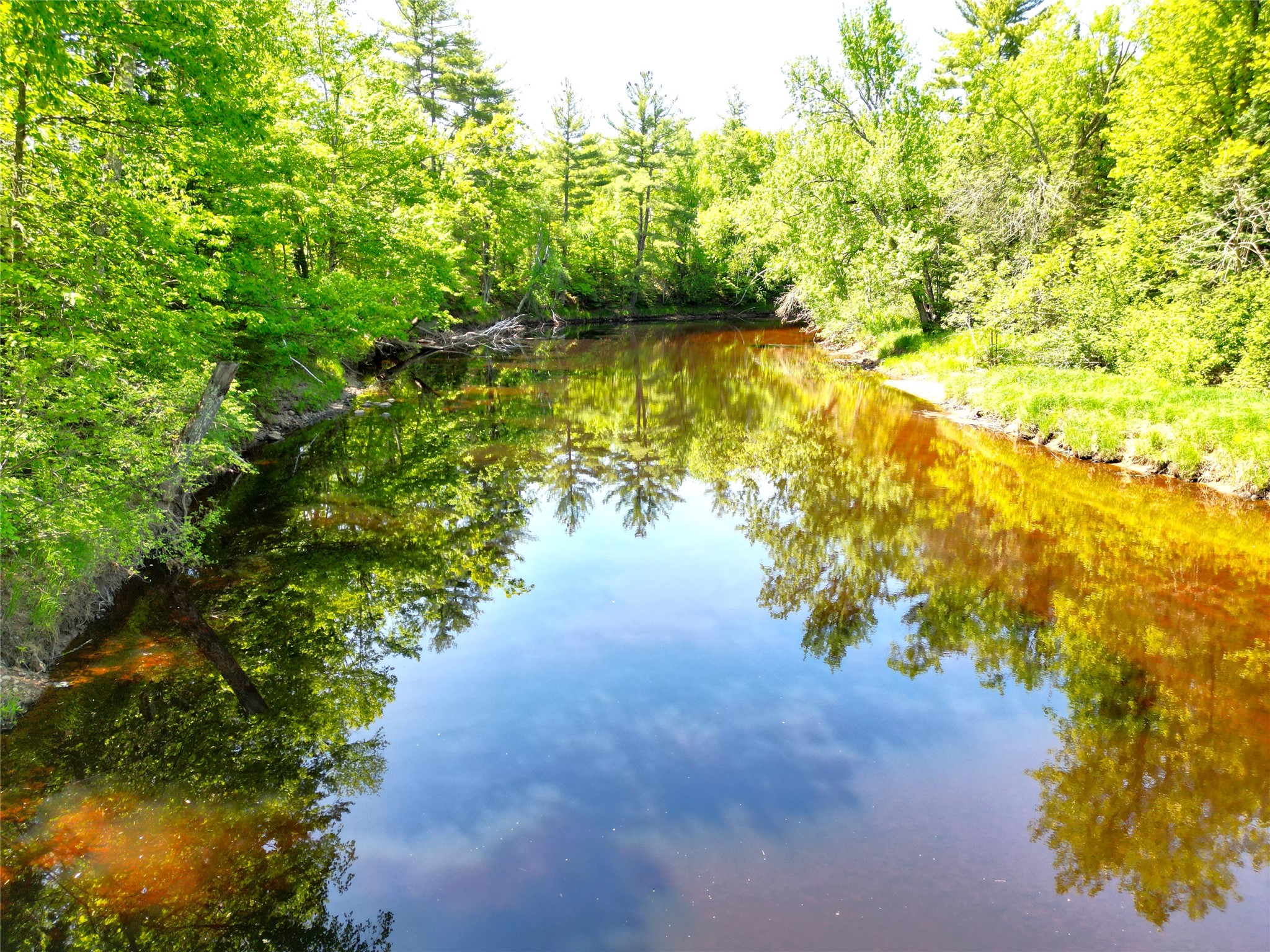 W8724 Timber Trail Ladysmith WI 54848 - THORNAPPLE 1601658 image23