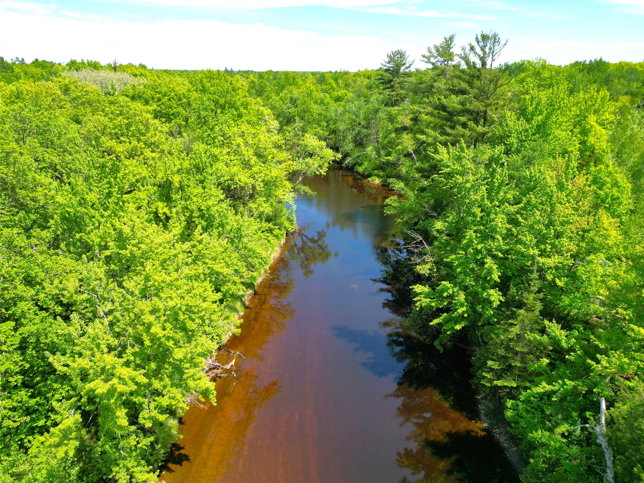 W8724 Timber Trail Ladysmith WI 54848 - THORNAPPLE 1601658 image24