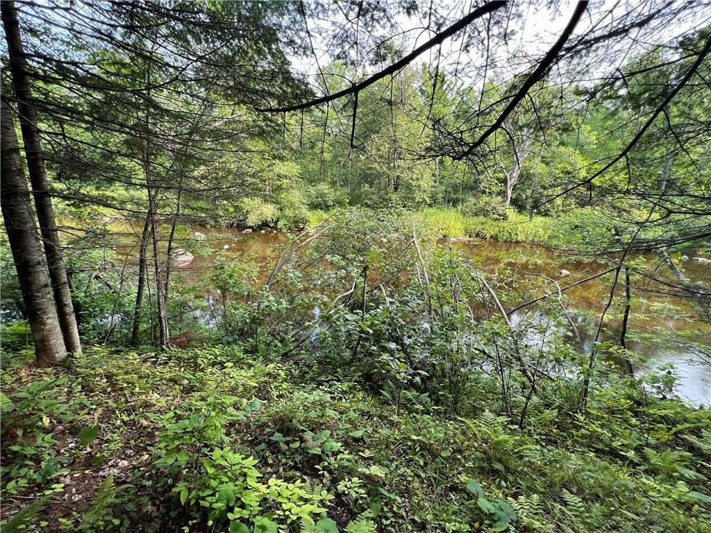 W8804 Timber Trail E Ladysmith WI 54848 - THORNAPPLE 1599599 image1