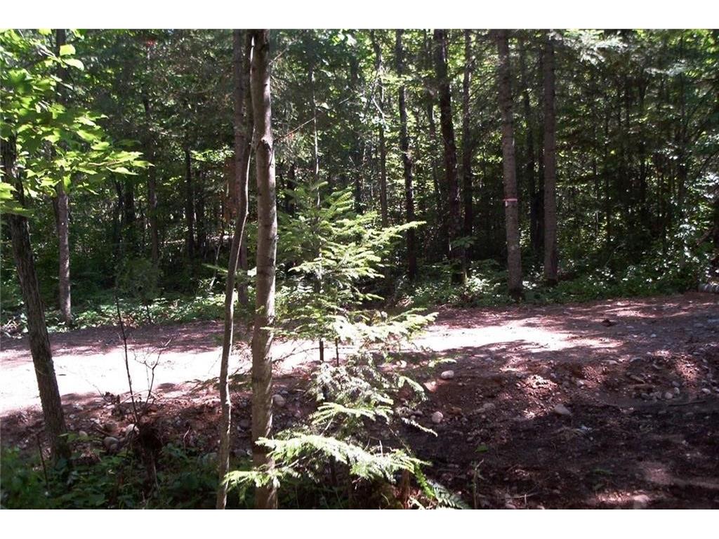 W8804 Timber Trail E Ladysmith WI 54848 - THORNAPPLE 1599599 image4