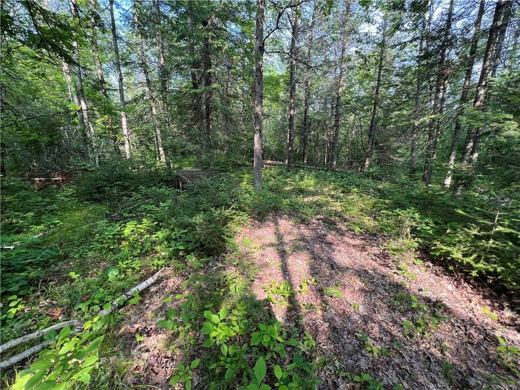 W8804 Timber Trail E Ladysmith WI 54848 - THORNAPPLE 1599599 image5