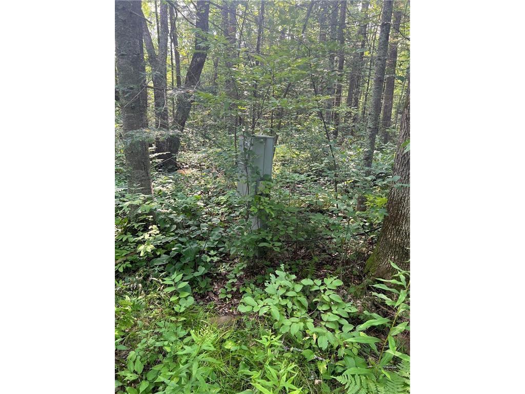 W8804 Timber Trail E Ladysmith WI 54848 - THORNAPPLE 1599599 image6