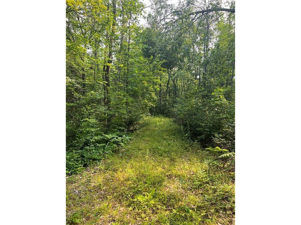 W8804 Timber Trail E Ladysmith WI 54848 - THORNAPPLE 1599599 image7