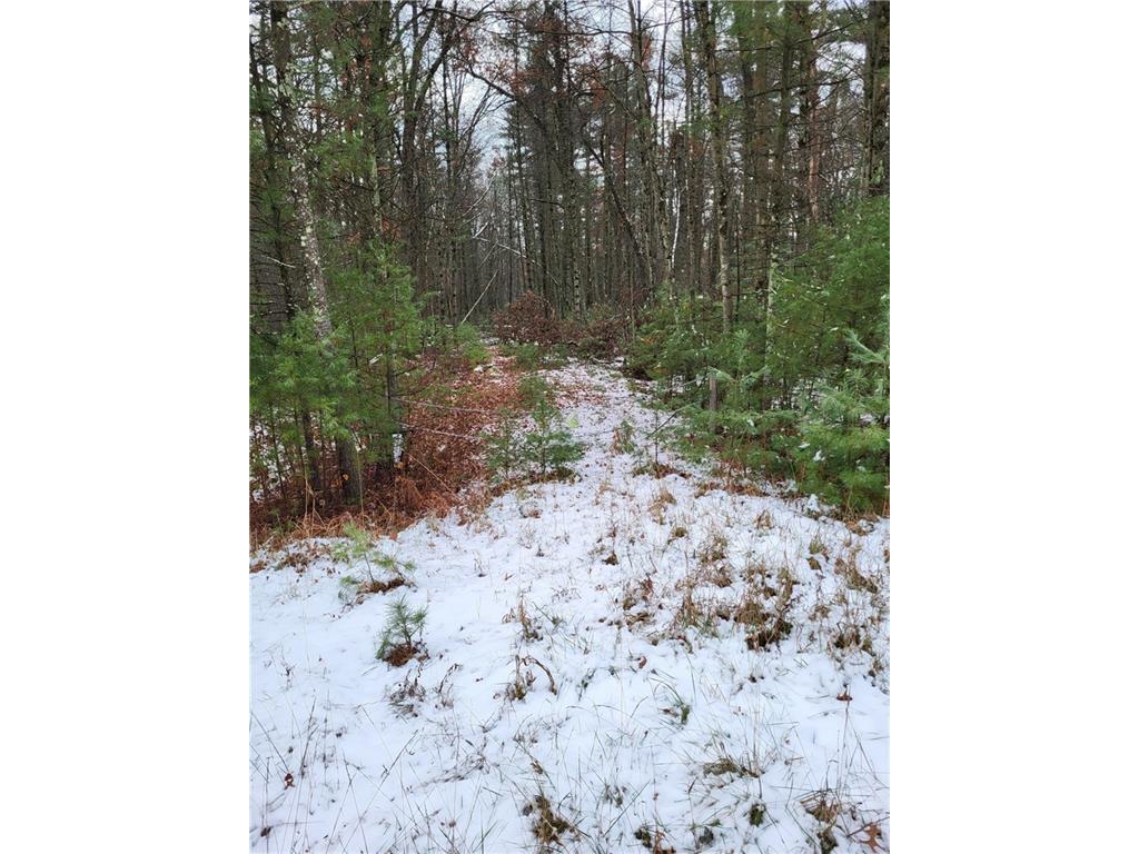 W8835 Bluebird Drive Hatfield WI 54754 - Emerald 1578558 image1