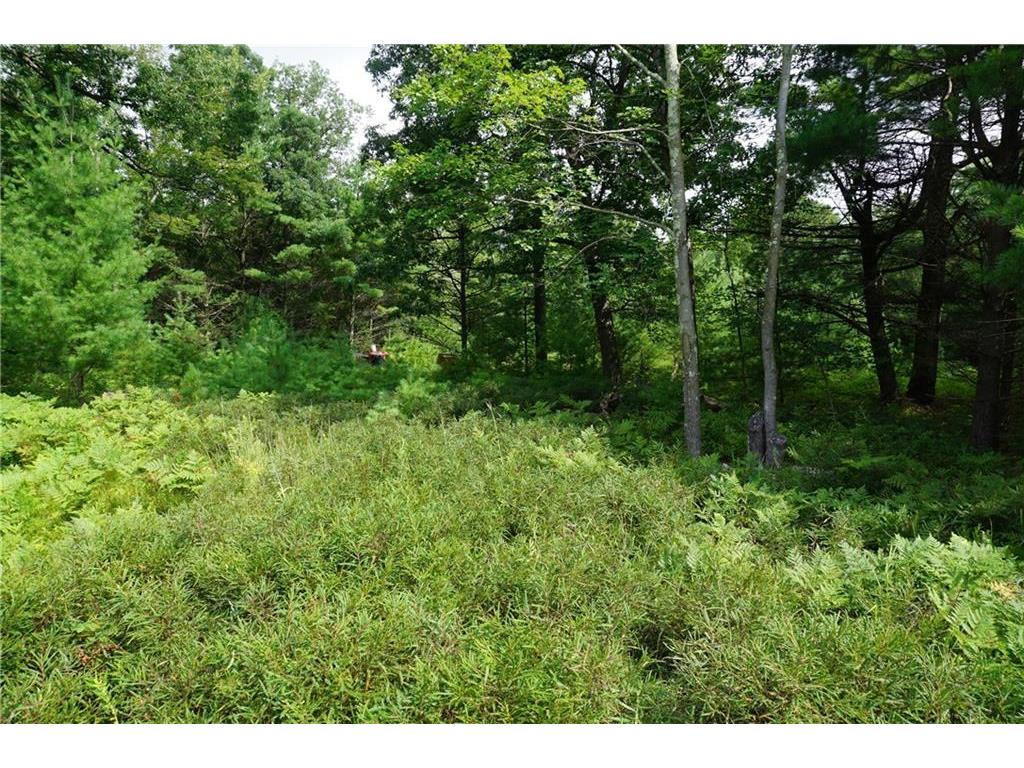 W8910 Cty Hwy J Merrillan WI 54754 1584464 image1