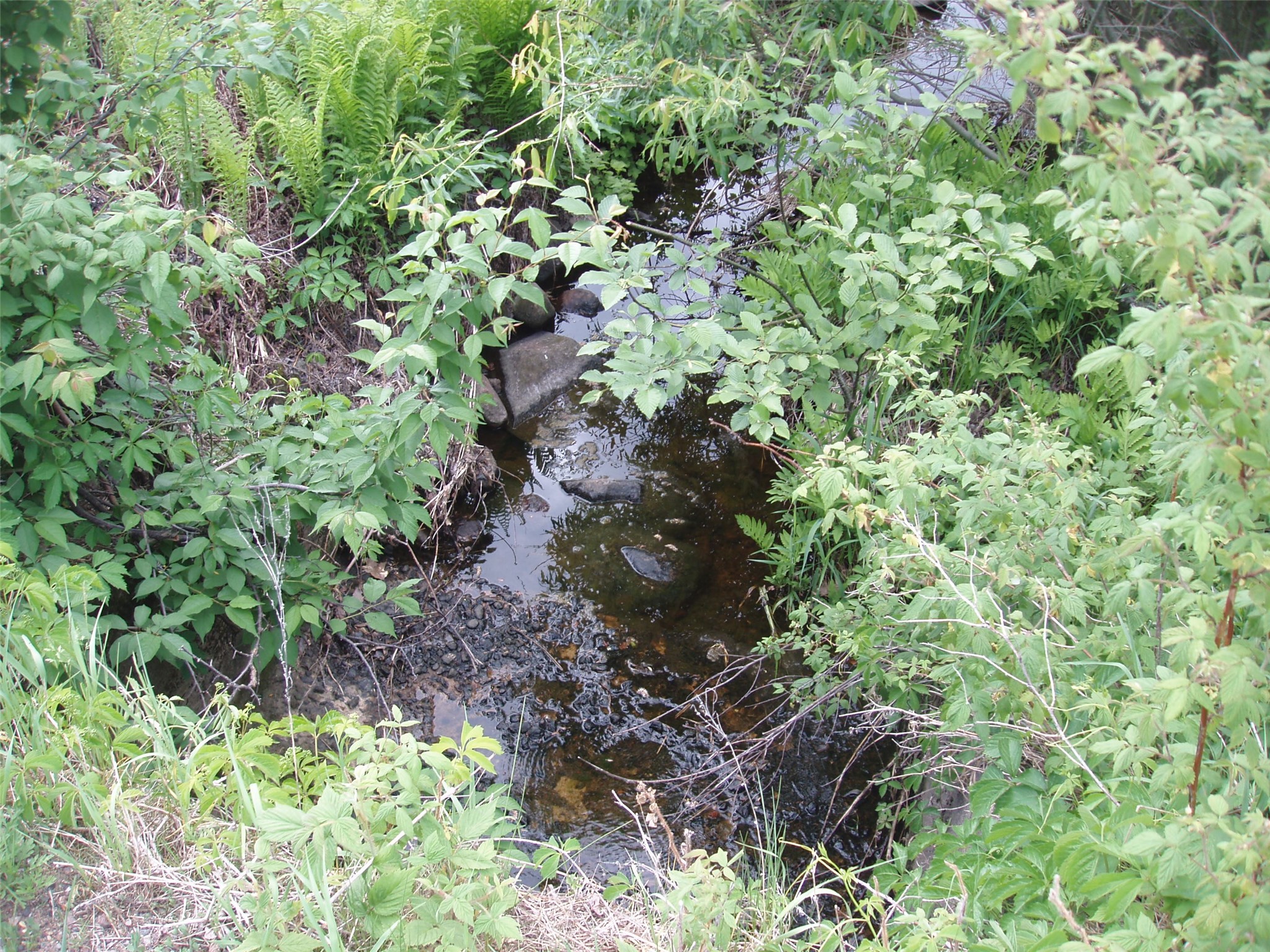 W9002 Moonshine Alley Catawba WI 54514 1601811 image31