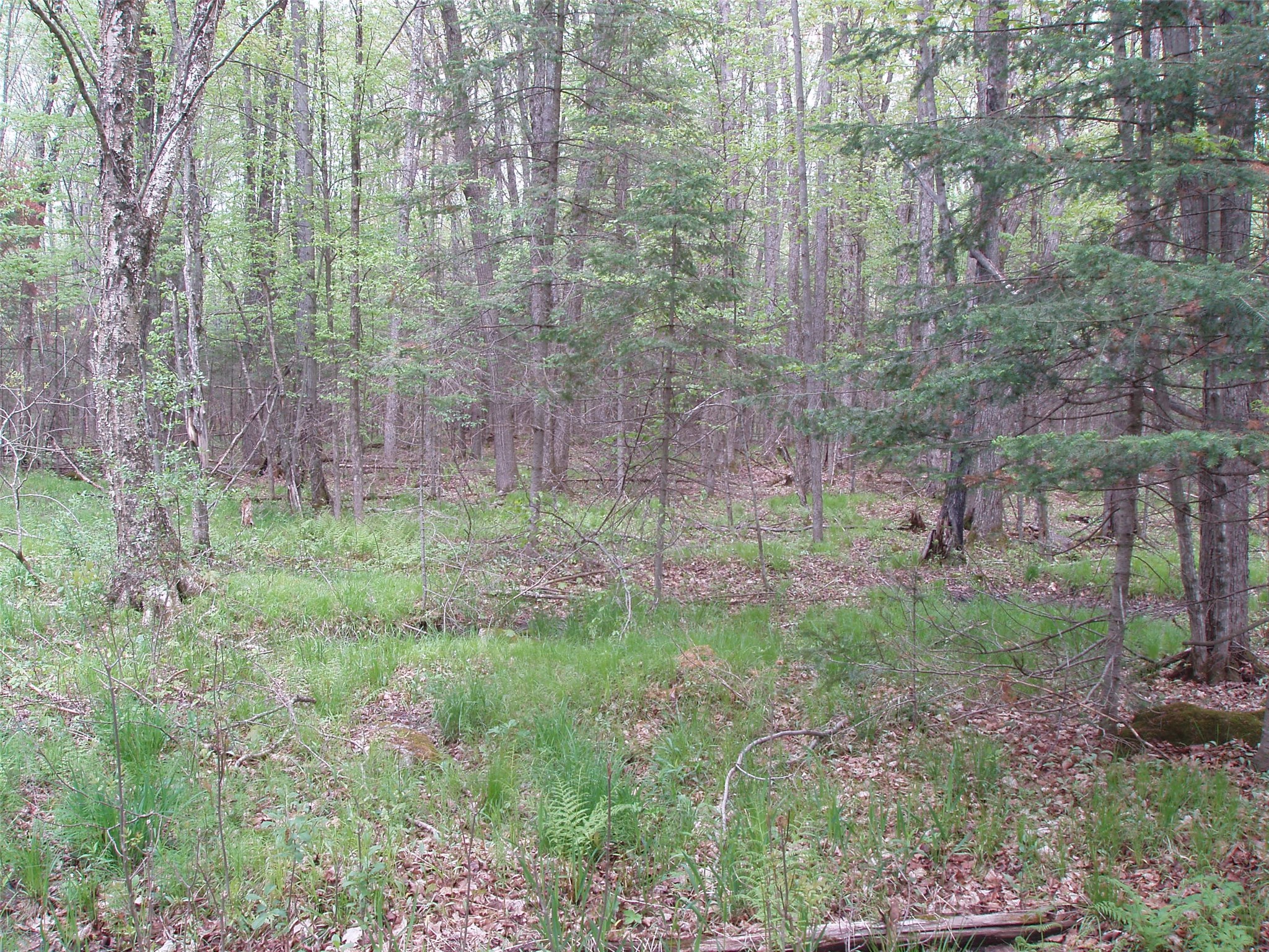 W9002 Moonshine Alley Catawba WI 54514 1601811 image33