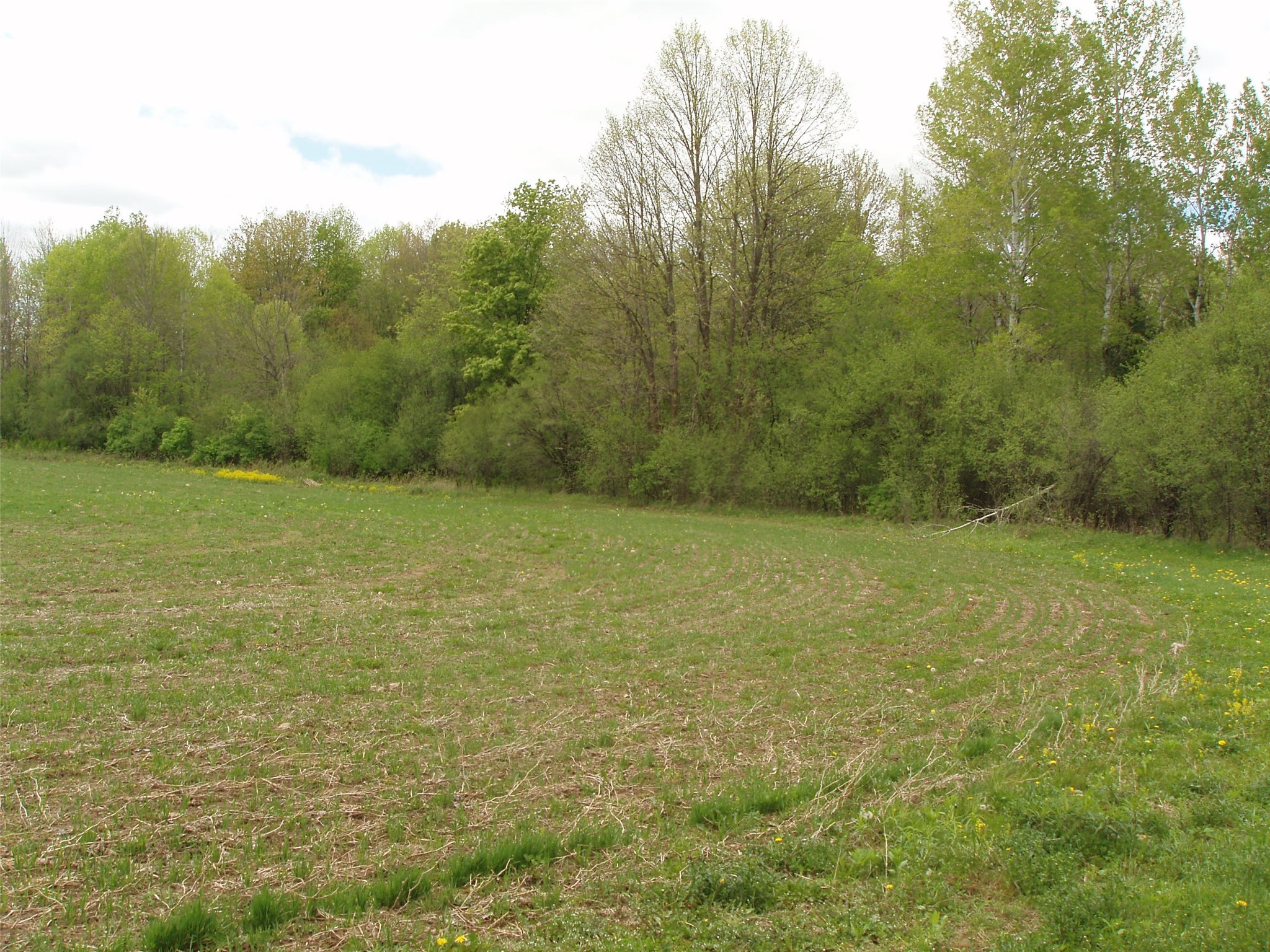W9002 Moonshine Alley Catawba WI 54514 1601811 image35