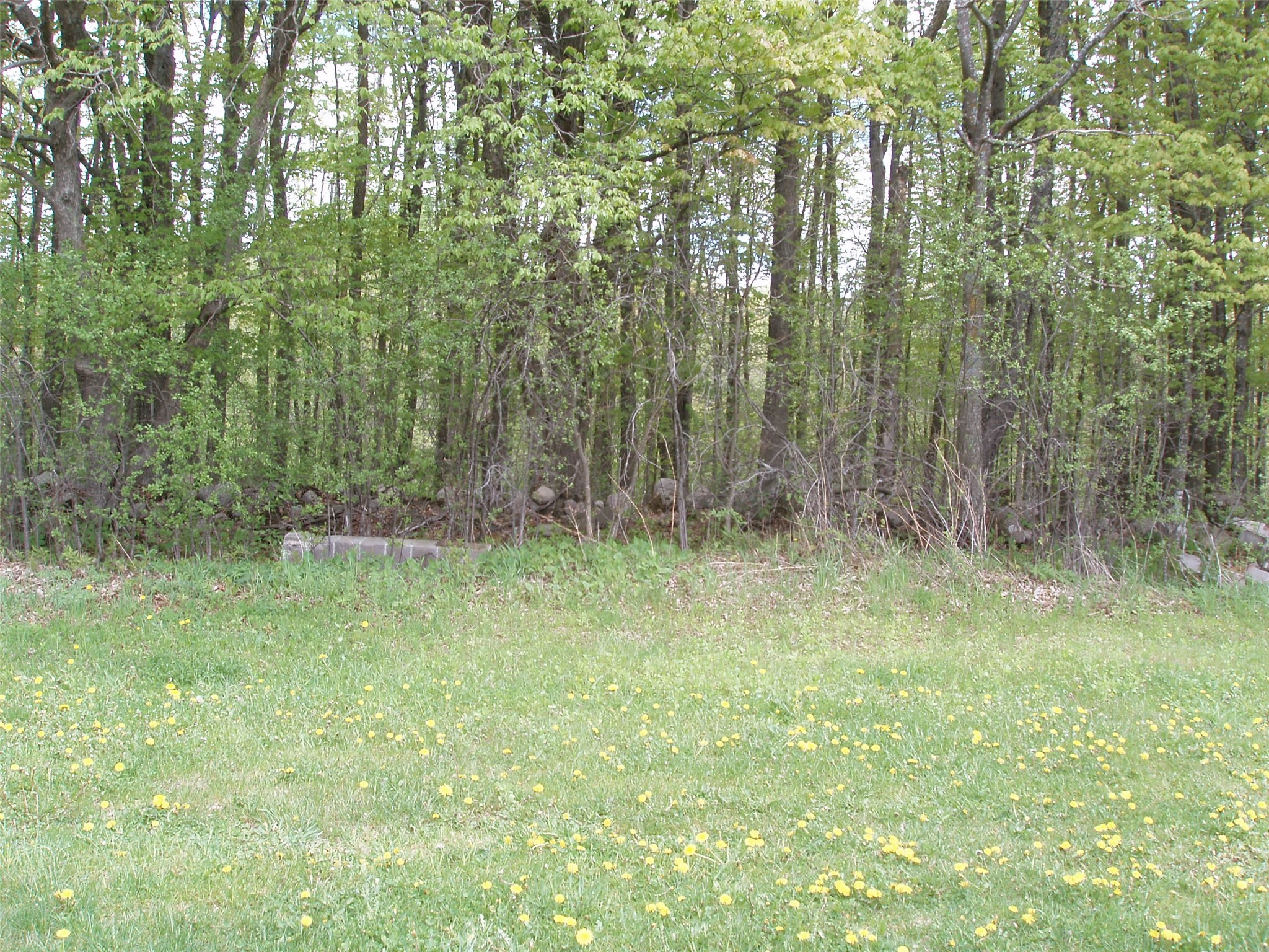 W9002 Moonshine Alley Catawba WI 54514 1601811 image36