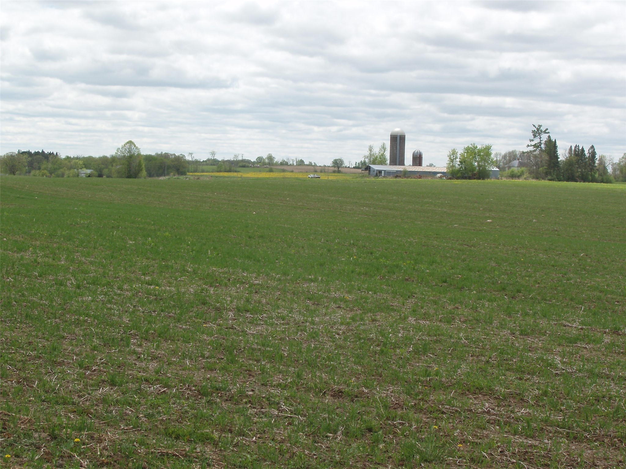 W9002 Moonshine Alley Catawba WI 54514 1601811 image37
