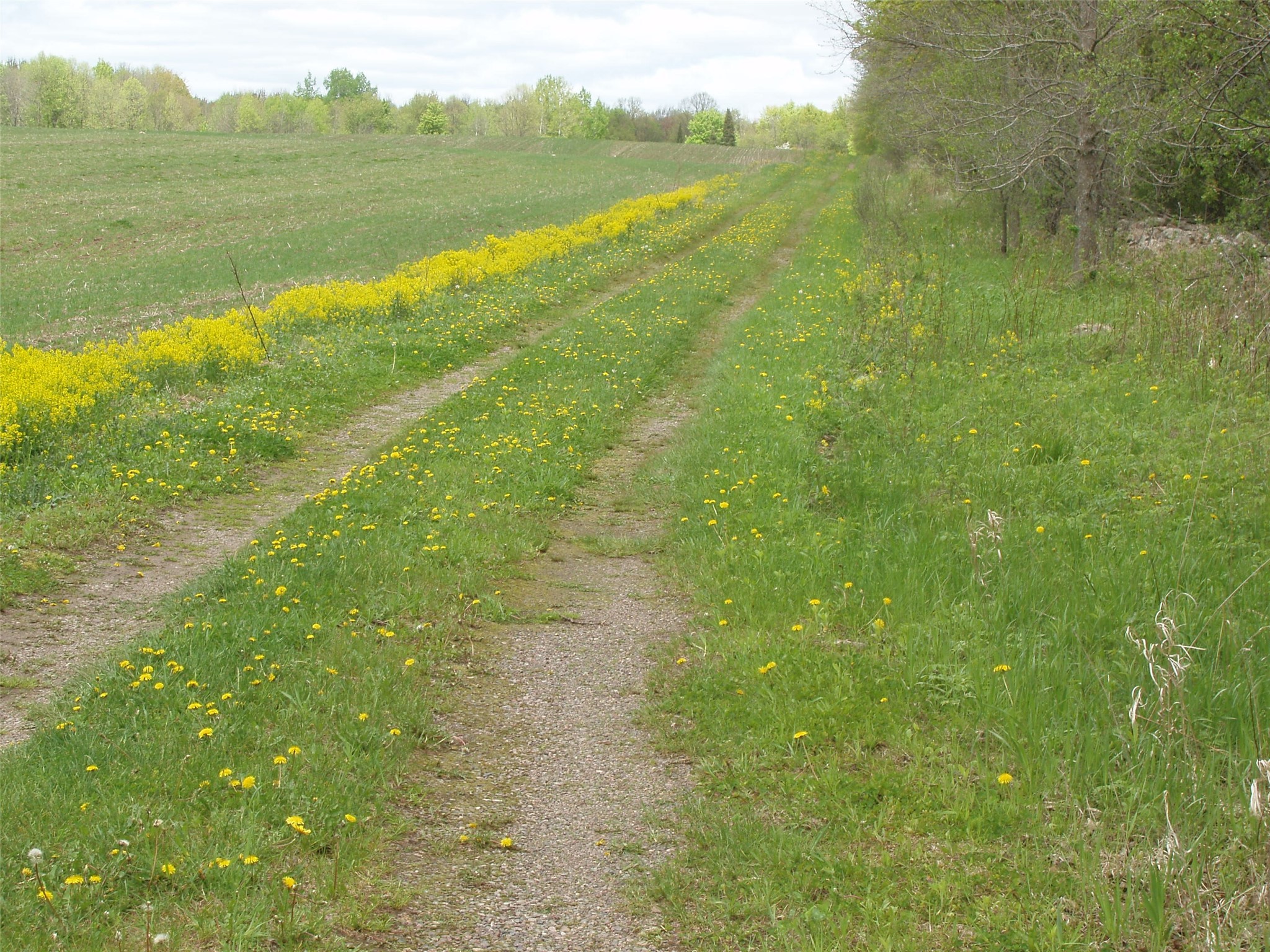 W9002 Moonshine Alley Catawba WI 54514 1601811 image39