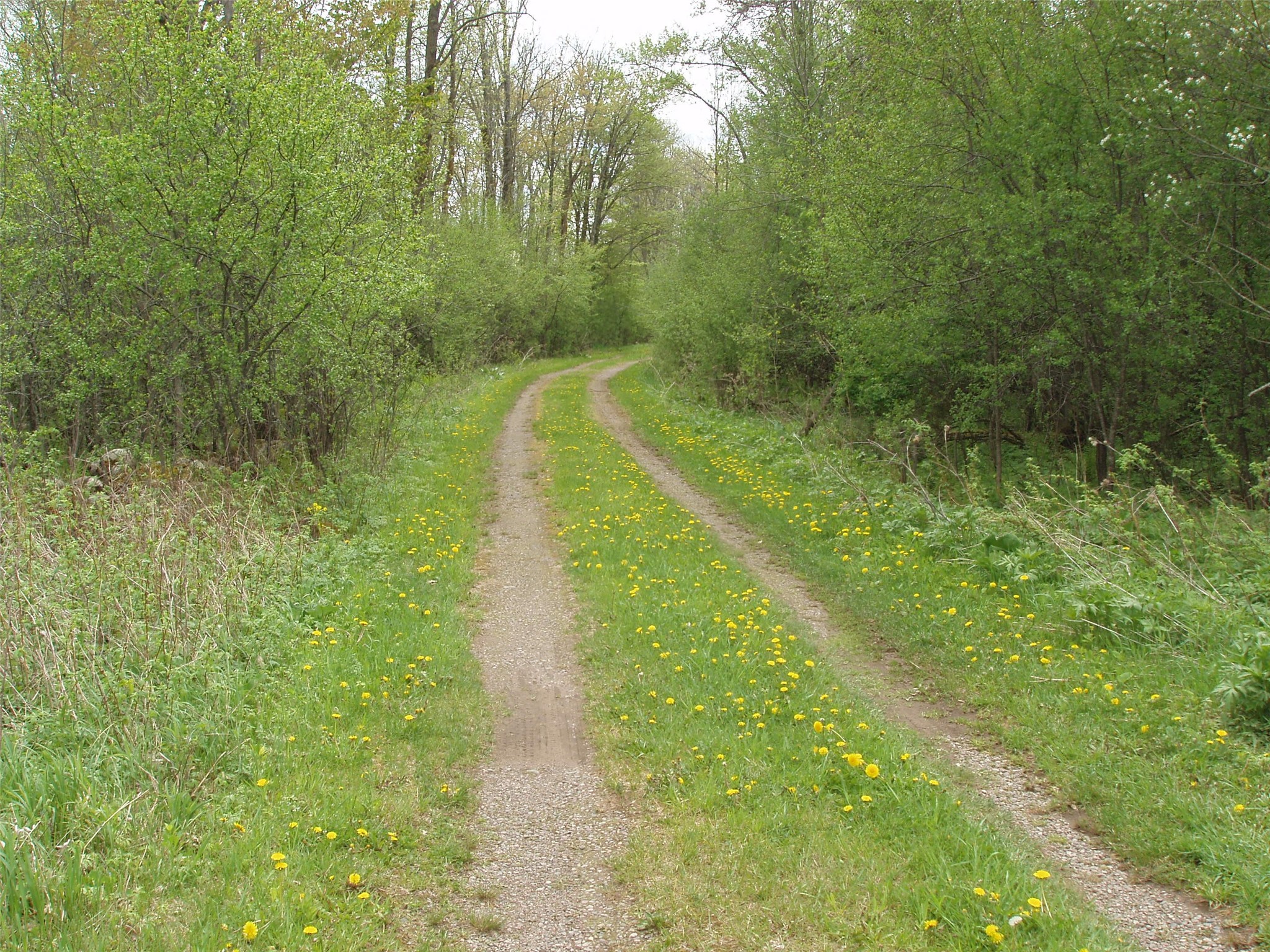 W9002 Moonshine Alley Catawba WI 54514 1601811 image40
