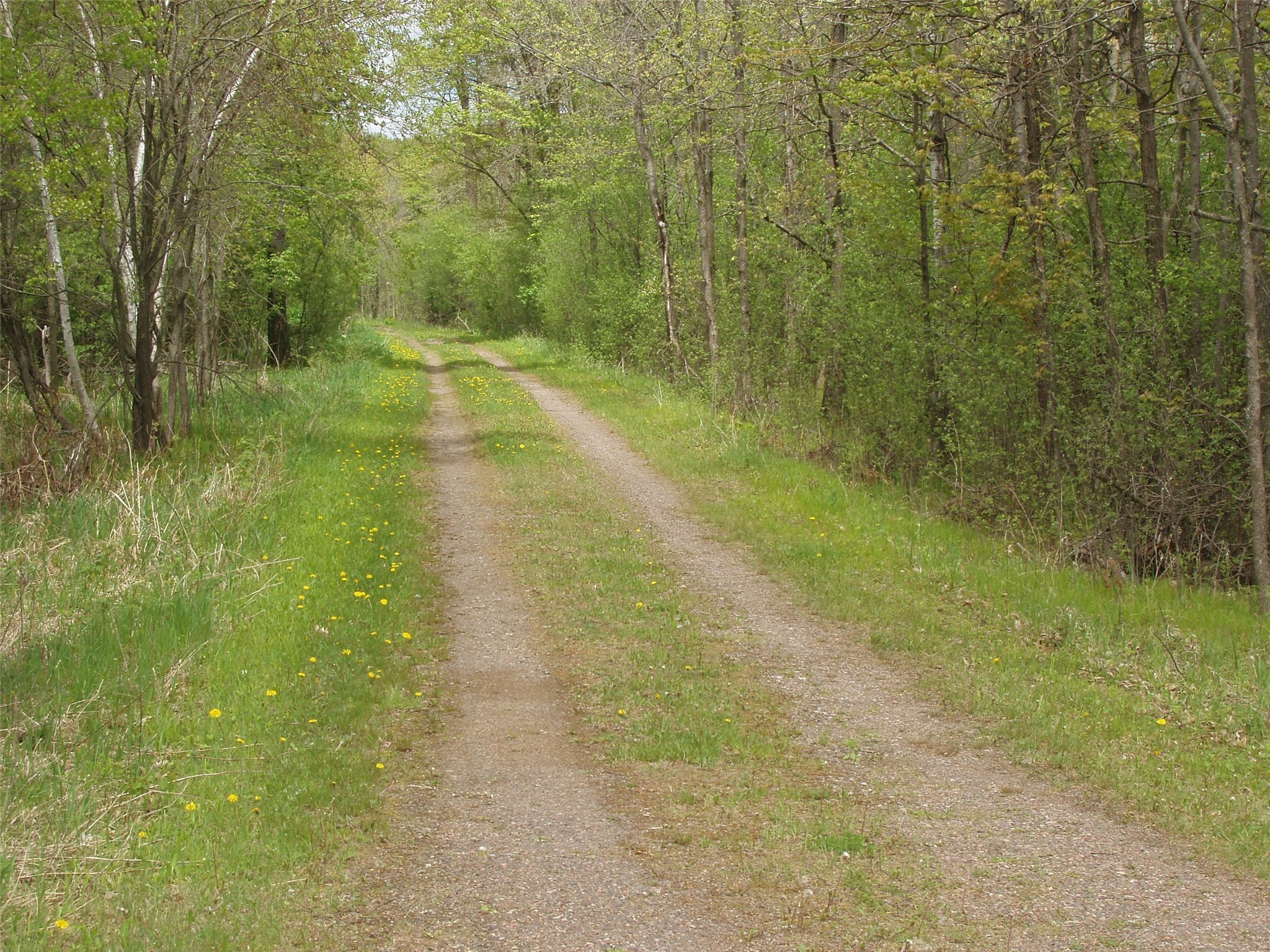 W9002 Moonshine Alley Catawba WI 54514 1601811 image41