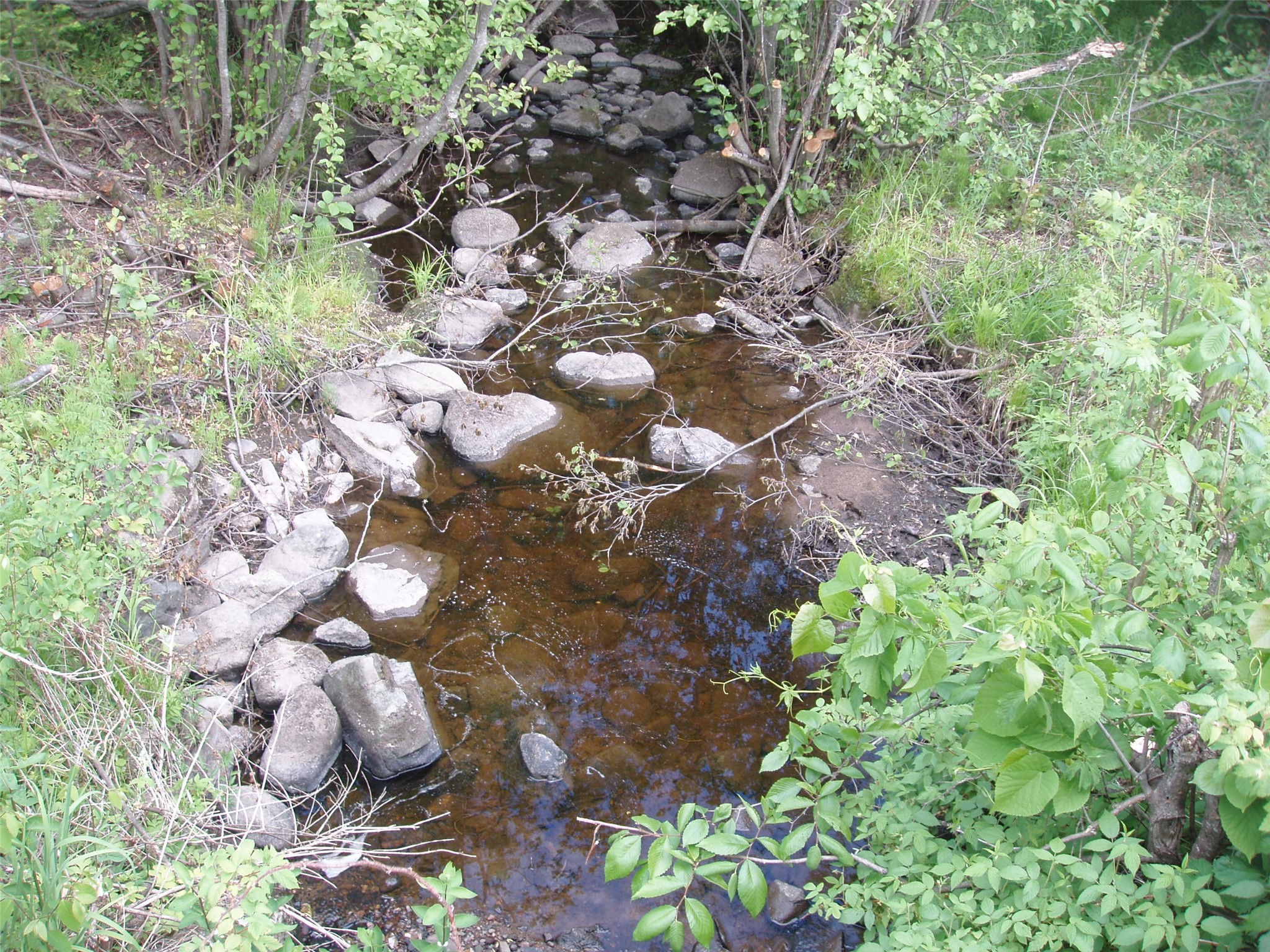 W9002 Moonshine Alley Catawba WI 54514 1601811 image7