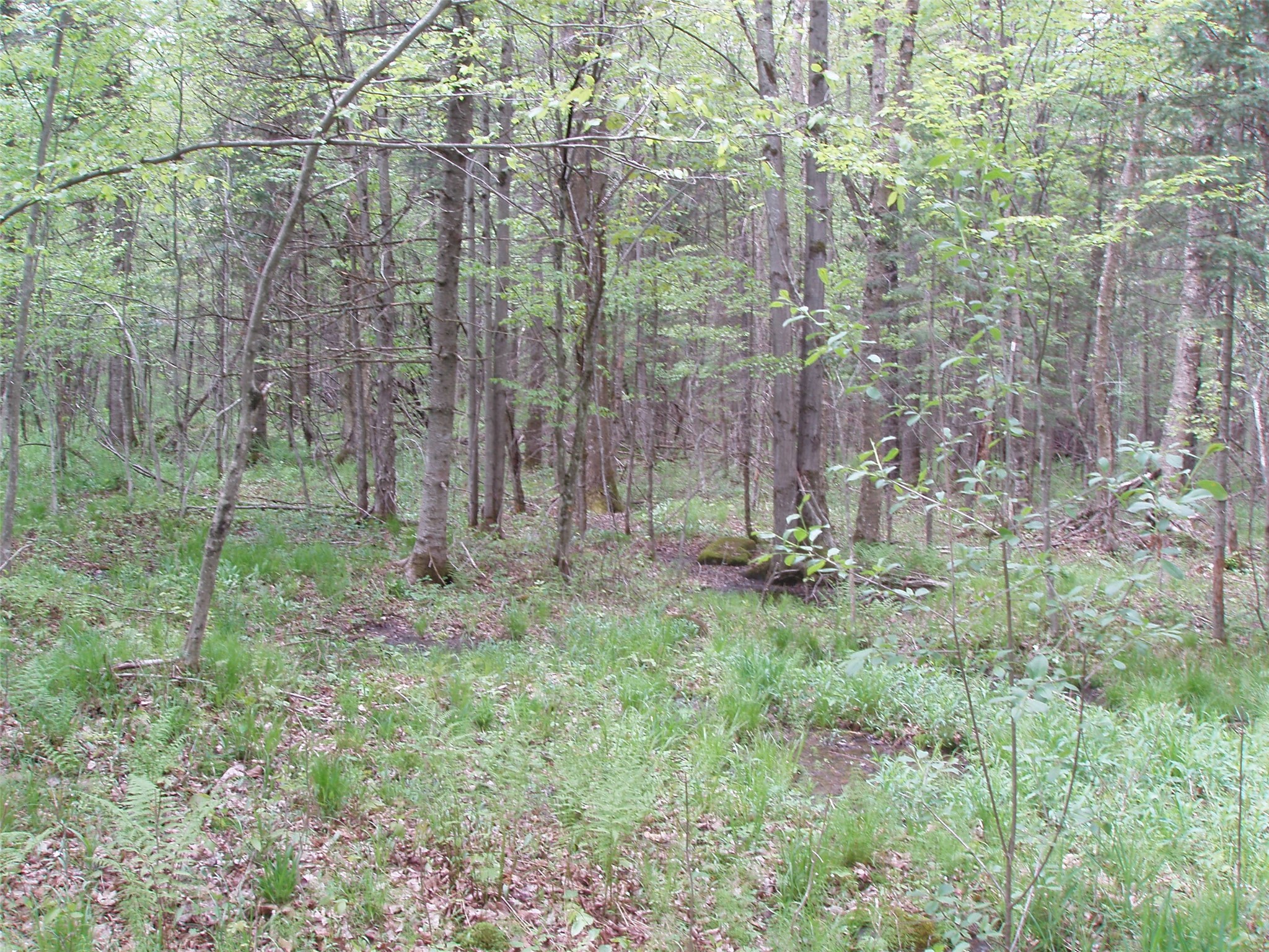 W9002 Moonshine Alley Catawba WI 54514 1601811 image9
