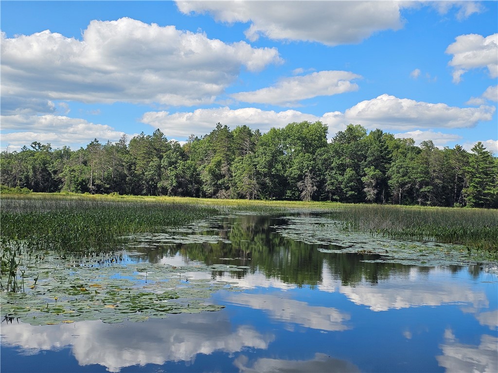 W9022 Wood Duck Lane Minong WI 54859 - Nancy 1598508 image6